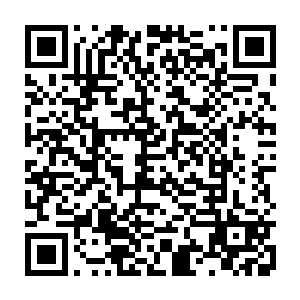 赢很多的精灵宝钻提升自己实力的同时可以把剩余的还给总馆兑换贡献值二维码生成
