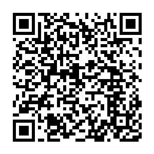 赤潮小队本就是以执行刺杀刺探和秘密任务为目的成立的特殊小队二维码生成
