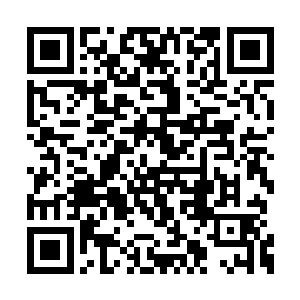 赫伯特家的财产应按照继承法的一般规则来分配二维码生成