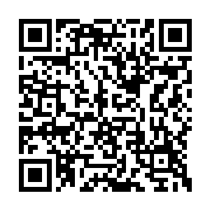 走在我前面的夕纪子突然就顿住脚步扭头望向我二维码生成