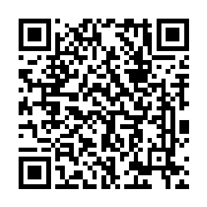 走时好生欣赏了一番赵碧萱痛不欲生又胆战心惊的表情二维码生成