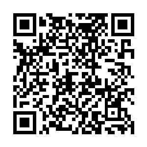 赵华生指着架子上一排自己已经完成的杜鹃花造型问道二维码生成