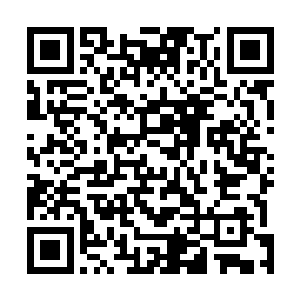 赵康对于能量风暴没有能够涌入茅草屋倒是没有一点惊讶二维码生成