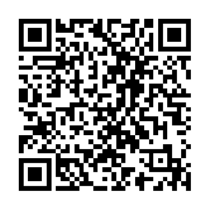 赵明等人一直都是在观看秦风和郭胖子两人的热身运动二维码生成