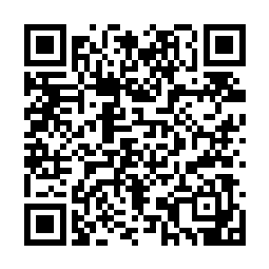 赵柯疑惑不解地看着谢云澜背着谢芳华走远的身影二维码生成