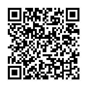 赵科杰与另外几个五峰观的弟子一直都在山巡视二维码生成