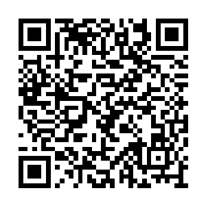 赵虎手中的锋利长剑和火焰狼的爪子碰撞到一起二维码生成