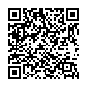 赵长枪几乎不用瞄准就准确无误的将追魂枪刺中了它的眼球二维码生成