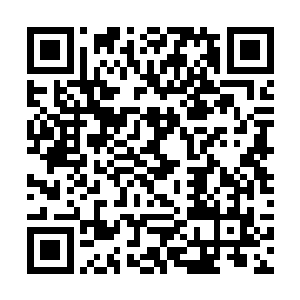 赵长枪已经背着昏迷不醒的洪亚伦跑到了轻卡的旁边二维码生成