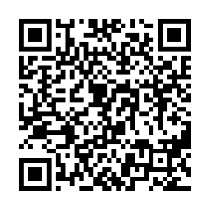 赵长枪的身体和庞大的大王乌贼比起来实在微不足道二维码生成