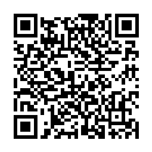 赵雨樱说赵阀子弟的地位都是打出来的究竟是什么意思二维码生成