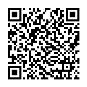 起码有三吨以上每走一步地面都要轻微地震动一下二维码生成