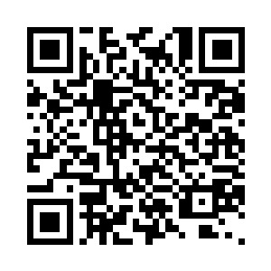 起码让我们也尝尝其他元兽的滋味吧二维码生成