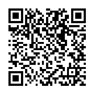 起身之后捞过舒景溪的身子直接一巴掌狠狠扇了上去二维码生成