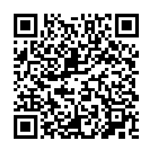 趁此整顿的机会将整个仙国商会划分给了几个弟子分管二维码生成