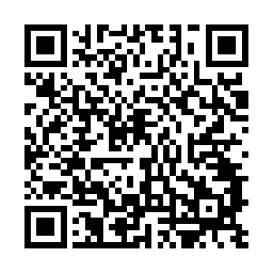 趁着这段时间从旁边一个流浪汉身上抓过来一条发臭的t恤二维码生成