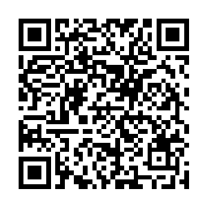 趁着银脚小猫的注意力都集中在天地根上面的这个机会二维码生成