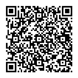 超级大导演史密斯张执导的魔幻史诗级巨片指环王－护戒使者半个月之后与影迷们见面二维码生成