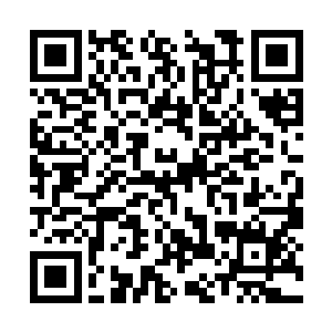 越多的全校药剂可以让队伍在行军途中更加的轻松二维码生成