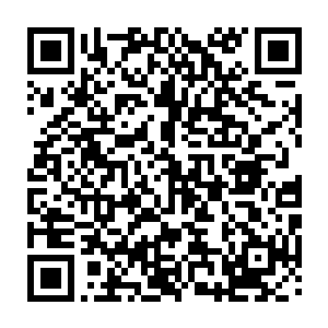 距离厄尔克斯最近的那些沙盗和冒险者便已经被那一道道暗红色血雾所追上二维码生成
