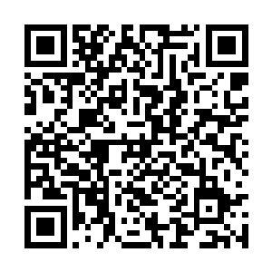 距离女子最近的一名中年壮汉在打量了府邸样式后二维码生成