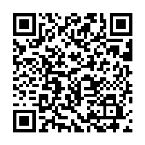距离明年一月份即将召开的ifo全体正式会议还有一段时候二维码生成
