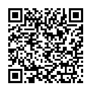 跟他在同一所学校读书的女朋友几个月前陪他一起玩二维码生成