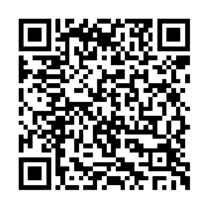 跟在莱昂纳多身后的就是大步跑过来的亚历克斯二维码生成