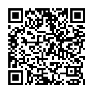 跟威盛集团前大股东张过海的儿子张雷同名同姓二维码生成