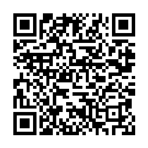 跟着来的婢女便从荷包里掏出一块银裸子递给他二维码生成