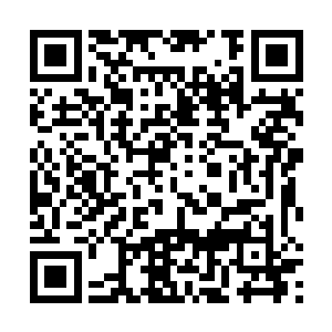 跟随在马志阔和于明甫身后的八名年轻修炼者便在此境二维码生成