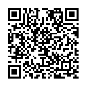 路灯费用等基础设施费用以及支付周里街主要街道占地补偿费用二维码生成