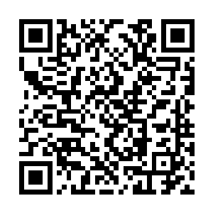 跳下龙驹放开的赖雨涵快速掠到了洞主的窝棚外面二维码生成