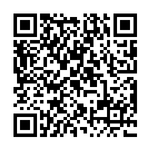 跳坑的大无畏好汉可以说出心中最喜欢的一到三个章节二维码生成