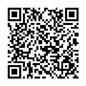 蹲在我家的窗户外把我养在鸟笼子里的鸟给咬死了二维码生成