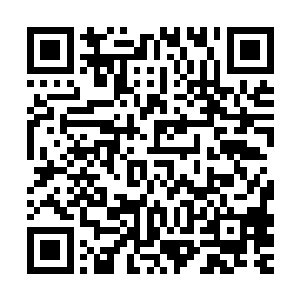 身上不知藏了多少上品符器的卖炭妞正要祭出一样压箱底的物件二维码生成