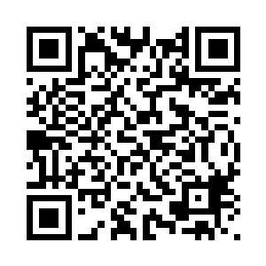 身上或多或少都会看到妮娜的影子二维码生成