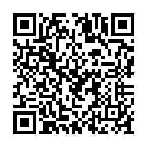 身上的气息也是再无半点保留的完全释放了出来二维码生成