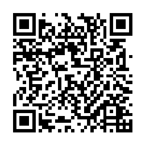 身上的鳞片也有开始细密的青涩的鳞片变成了淡金二维码生成