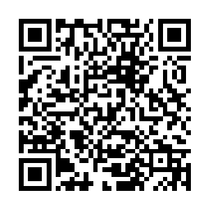 身上被田豹两只爪子抓得生疼的房学度苦笑了一声二维码生成