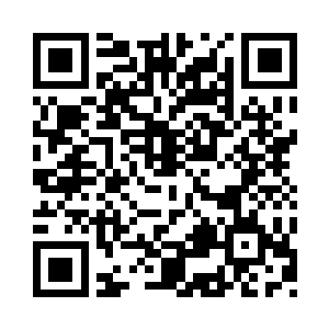 身上被酒汁搞了一身绿的苗毅登台很显眼二维码生成