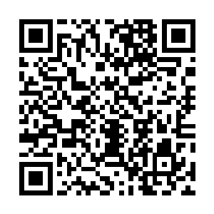 身上裹了很多兽皮的她看一群大大小小的孩子在雪地上玩二维码生成