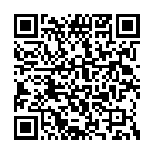 身为天帝的心腹更不可能轻易放地狱里的人出去二维码生成