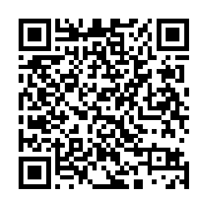 身处重围中的罗林终于被海量的攻击逼迫地不得不以伤换伤二维码生成