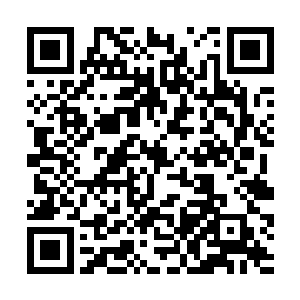 身旁的白衣也用着同样的招式随叶秋一同向黑衣进攻二维码生成