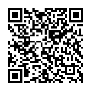 身穿五节大将战甲的左督麾下镇丙卫大都督冥天站在殿前台阶上二维码生成