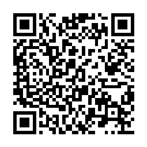 身边另外几位同伴终于后知后觉察觉到一丝异常二维码生成