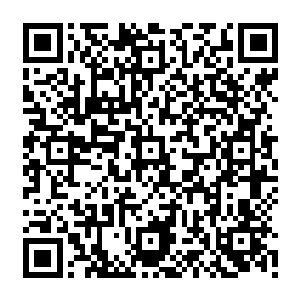 躺在病床上的秦洛和坐在轮椅上的两个伤残患者正在讨论着接下来行动的计划和步骤二维码生成