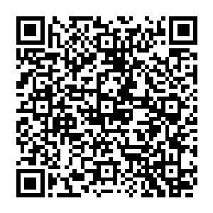 轩辕剑那被青绿色剑光所包裹的剑锋竟然就这么直接破开了那巨蟒身上环绕的绿光二维码生成