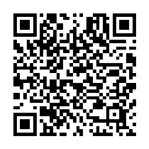 轩辕北野手下的两个双生子和巨蟒的打斗开始渐渐出于下风二维码生成